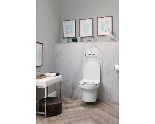 Клавиша смыва Jacob Delafon E20859-CP-MWH Хром глянцевый Белая матовая