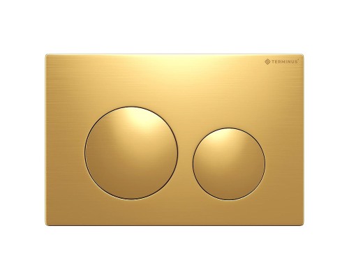 Клавиша смыва Terminus 62K24х16G цвет Золото