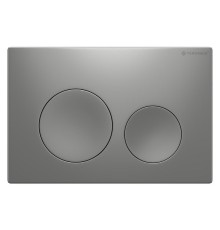 Клавиша смыва Terminus 62K24х16M цвет Хром матовый