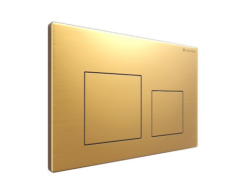 Клавиша смыва Terminus 82K24х16G цвет Золото