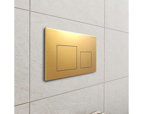 Клавиша смыва Terminus 82K24х16G цвет Золото