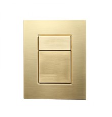 Клавиша смыва Wonzon & Woghand WW-IB256-BG цвет Брашированное золото