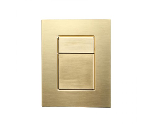 Клавиша смыва Wonzon & Woghand WW-IB256-BG цвет Брашированное золото