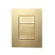 Клавиша смыва Wonzon & Woghand WW-IB256-BG цвет Брашированное золото