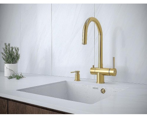 Дозатор для моющего средства Paulmark Brevit D005-G Золото