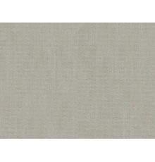 Обои Fipar Palazzio Terzi R22624 Винил на флизелине (1,06x10,05) цвет Бежевый, Штукатурка