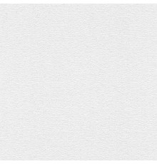 Обои Marburg Patent Decor 9542 Винил на флизелине (1,06x25) Белый, Штукатурка