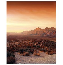 Панно Marburg Dune 32548 Винил на флизелине (2,12x2,7) Оранжевый, Пейзаж