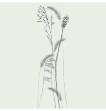 Панно Marburg Crush Motion 63485 Винил на флизелине (0,7x2,7) Бежевый, Цветы/Листья