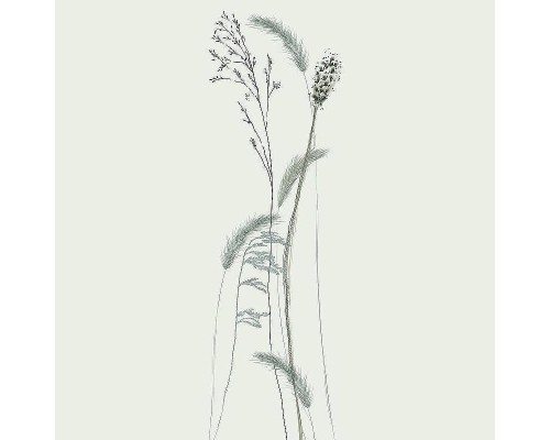 Панно Marburg Crush Motion 63485 Винил на флизелине (0,7x2,7) Бежевый, Цветы/Листья