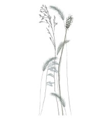 Панно Marburg Crush Motion 63486 Винил на флизелине (0,7x2,7) Белый, Цветы/Листья