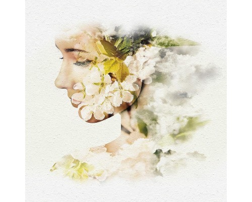 Фреска Ortograf Miracle 33856 Фактура бархат FX Флизелин (4,5x3) Черный/Бежевый, Птицы/Облака/Абстракция