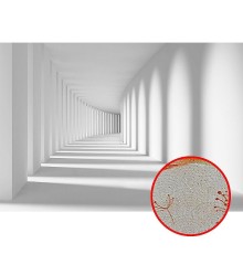 Фреска Ortograf 3D 3256 Фактура бархат золото FX-G Флизелин (3,6x2,5) Белый, Архитектура