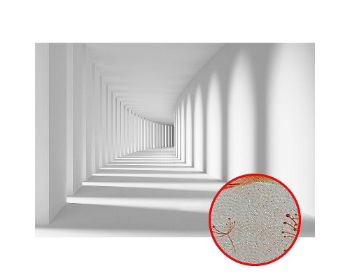 Фреска Ortograf 3D 3256 Фактура бархат золото FX-G Флизелин (3,6x2,5) Белый, Архитектура