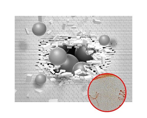 Фреска Ortograf 3D 21069 Фактура бархат золото FX-G Флизелин (3,7x2,7) Белый/Серый, Кирпич/Абстракция