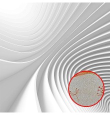 Фреска Ortograf 3D 30450 Фактура бархат золото FX-G Флизелин (2,7x2,7) Белый, Абстракция