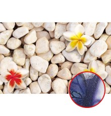 Фреска Ortograf 3D 30745 Фактура бархат серебро FX-S Флизелин (4,2x2,7) Бежевый/Красный/Желтый, Цветы/Абстракция