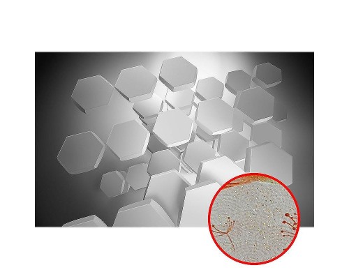 Фреска Ortograf 3D 33414 Фактура бархат золото FX-G Флизелин (4,3x2,7) Серый, Абстракция