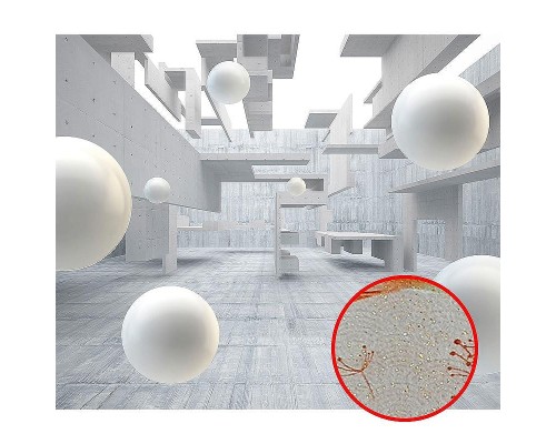 Фреска Ortograf 3D 33259 Фактура бархат золото FX-G Флизелин (3,2x2,7) Серый/Белый, Абстракция