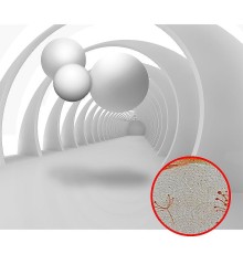 Фреска Ortograf 3D 33747 Фактура бархат золото FX-G Флизелин (3,2x2,7) Белый, Абстракция