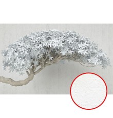 Фреска Ortograf 3D 33748 Фактура бархат FX Флизелин (4,3x2,7) Белый/Бежевый, Деревья/Цветы