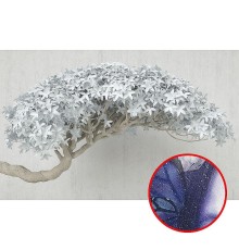 Фреска Ortograf 3D 33748 Фактура бархат серебро FX-S Флизелин (4,3x2,7) Белый/Бежевый, Деревья/Цветы