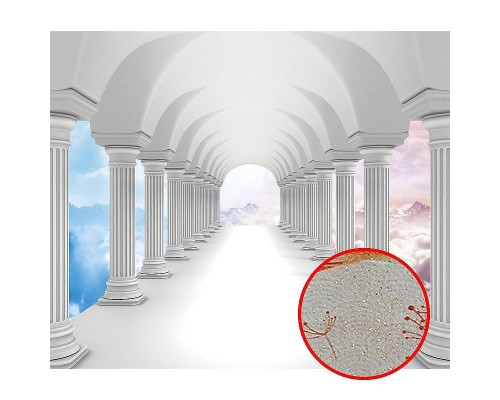 Фреска Ortograf 3D 33210 Фактура бархат золото FX-G Флизелин (3,2x2,7) Белый, Архитектура/Абстракция