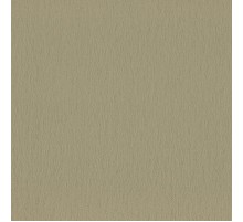 Обои Fipar Colori Del Sole R 23155 Винил на флизелине (1,06x10,05) Золотой, Линии