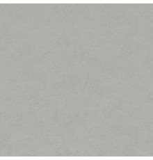 Обои Fipar Colori Del Sole R 23101 Винил на флизелине (1,06x10,05) Серый, Штукатурка