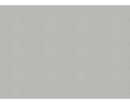 Обои Zambaiti Parati Vision 76007 Винил на флизелине (0,70x10,05) Серый/Серебряный, Штукатурка