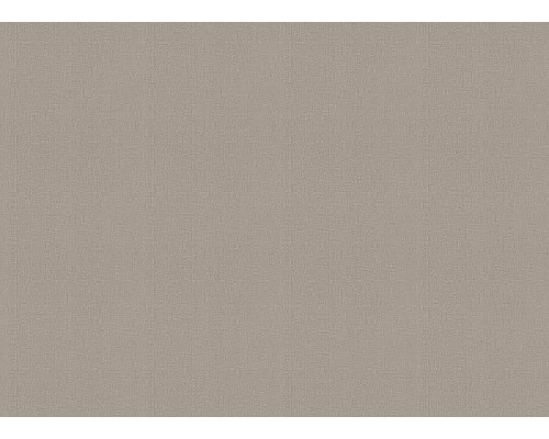 Обои Zambaiti Parati Vision 76017 Винил на флизелине (0,70x10,05) Коричневый, Рогожка