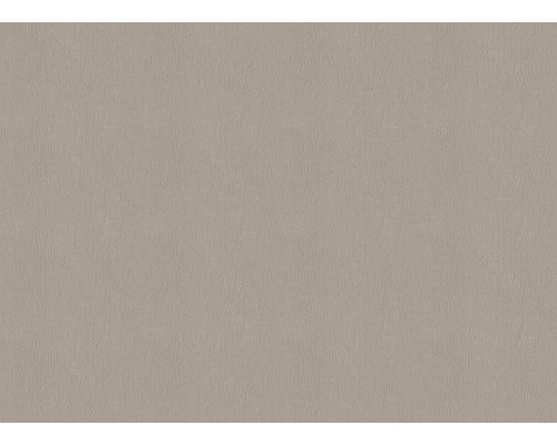 Обои Zambaiti Parati Vision 76019 Винил на флизелине (0,70x10,05) Коричневый, Штукатурка