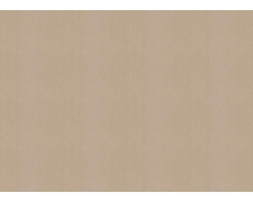 Обои Zambaiti Parati Vision 76040 Винил на флизелине (0,70x10,05) Бежевый/Коричневый, Штукатурка