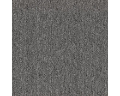Обои RASCH Sky Lounge 978483 Винил на флизелине (1,06x10) Серый, Однотонный