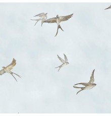 Обои Marburg Essentiell 34789 Винил на флизелине (0,53x10,05) Голубой/Бежевый, Птицы