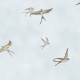 Обои Marburg Essentiell 34789 Винил на флизелине (0,53x10,05) Голубой/Бежевый, Птицы