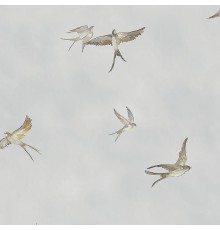 Обои Marburg Essentiell 34790 Винил на флизелине (0,53x10,05) Серый/Коричневый, Птицы