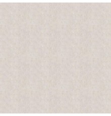 Обои Fipar Modelli Magici R 11173 Винил на флизелине (1,06x10,05) Бежевый/Серый, Штукатурка