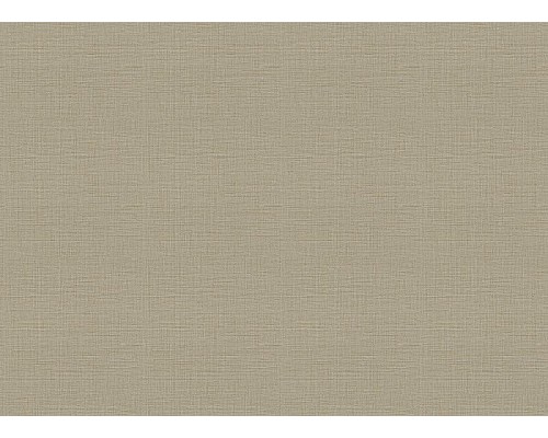 Обои Zambaiti Parati Trussardi VII 18945 Винил на флизелине (0,7x10,05) Коричневый, Рогожка