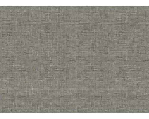 Обои Zambaiti Parati Trussardi VII 18949 Винил на флизелине (0,7x10,05) Серый, Рогожка