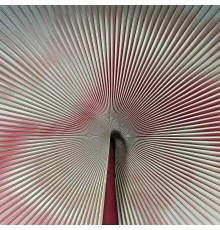 Панно Zambaiti Parati Trussardi VII 18989 Винил на флизелине (3x3) Розовый/Серый, Абстракция