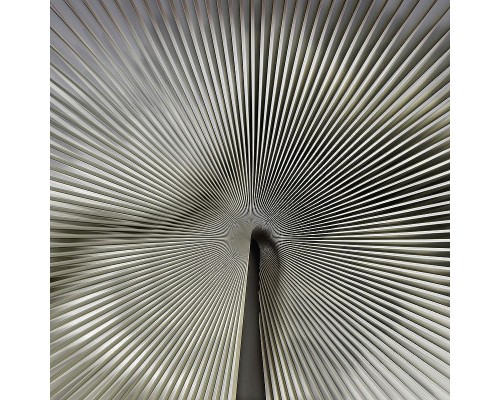 Панно Zambaiti Parati Trussardi VII 18990 Винил на флизелине (3x3) Серый, Абстракция