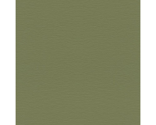 Обои RASCH Garden 687538 Винил на флизелине (0,53x10,05) Зеленый, Однотонные/Рогожка