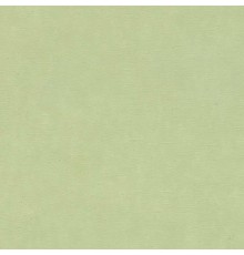 Обои RASCH Garden 330052 Винил на флизелине (0,53x10,05) Зеленый, Однотонные/Рогожка