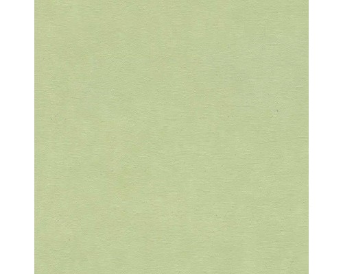 Обои RASCH Garden 330052 Винил на флизелине (0,53x10,05) Зеленый, Однотонные/Рогожка