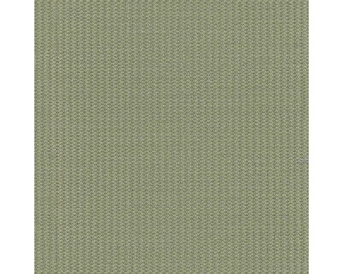 Обои Zambaiti Parati Lamborghini III Z12842 Винил на флизелине (0,7x10,05) Зеленый, Рогожка