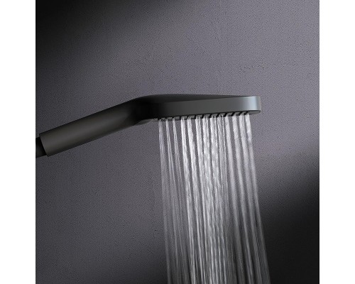 Ручной душ AM.PM Func F028F022 цвет Черный матовый