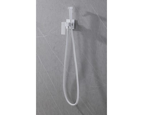 Гигиенический душ со смесителем Abber Daheim AF8226W цвет Белый матовый