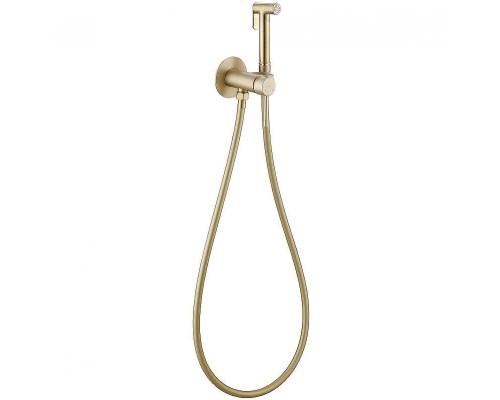 Гигиенический душ со смесителем Abber Wasser Kreis AF8125G Золото матовое