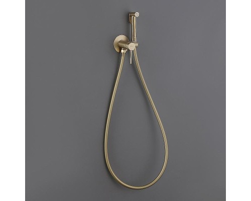 Гигиенический душ со смесителем Abber Wasser Kreis AF8125G Золото матовое